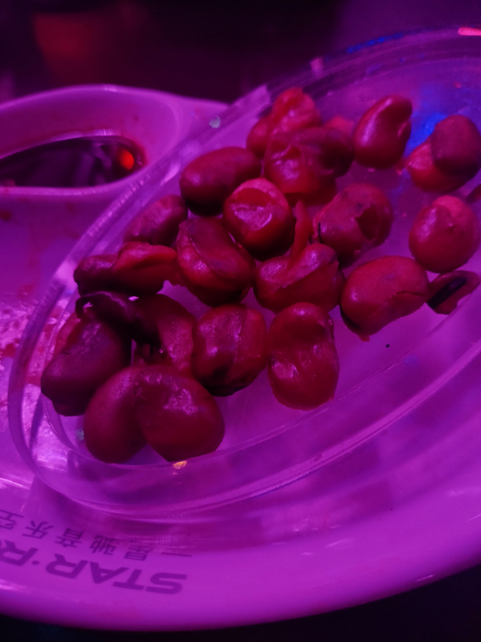 韶关商务ktv与片场区别解析-翁源县ktv预订